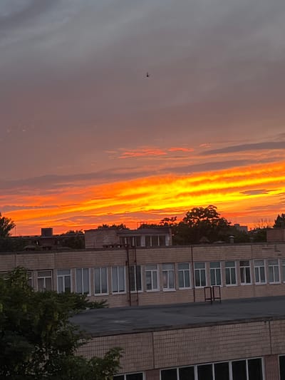 The image captures a vibrant sunset over the city of Kropyvnytskyi, Ukraine. The sky is a dramatic canvas of fiery orange and yellow hues, transitioning to softer pinks and purples towards the top. Clouds are streaked across the sky, illuminated by the setting sun. In the mid-ground, silhouetted against the bright sky, are the rooftops of several buildings, appearing to be educational institutions or administrative complexes, characterized by their brick exteriors and rows of windows. Trees, lush with green foliage, are scattered amongst the buildings. A single bird is visible in flight in the upper portion of the sky. The foreground features the rooftops of more buildings, including one with a dark, flat roof and another with a brick facade and visible windows. The overall scene depicts an urban landscape bathed in the warm, fading light of sunset.