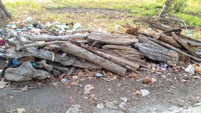 A pile of weathered logs and driftwood lies on the ground in Pasi ie Leubeue, Indonesia. The logs vary in size and shape, with some appearing thick and gnarled, while others are more slender and broken. Scattered amongst the wood and on the surrounding ground are various pieces of litter, including plastic bags, wrappers, and leaves. In the background, dry grass and a sparse tree are visible. The scene suggests an area that has been subjected to natural forces and human impact, with the debris indicating a lack of proper waste management.
