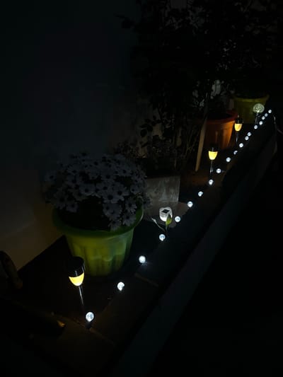 The image shows a dimly lit outdoor setting, possibly at night in Gorleston-on-Sea, United Kingdom. The scene features a series of potted plants, including one with white daisy-like flowers, arranged along a ledge. A string of spherical lights with bulb-shaped elements interspersed is draped above the plants, providing the primary source of illumination. The background is dark, suggesting a roof or overhanging structure above. The overall atmosphere is subdued and tranquil.