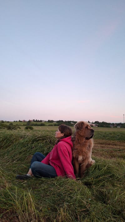 In a grassy field at dusk, a young woman wearing a pink hooded jacket and dark jeans is crouched down, looking into the grass. A large, fluffy brown dog is leaning over her, resting its head on her shoulder and looking up towards the sky. The sky is a soft, pale blue with hints of pink, indicating sunset. The field is lush with green grass and some dried stalks, suggesting a rural or park setting. In the background, there are trees and some buildings visible, with a tall structure that could be a communication tower on the horizon. The overall mood appears peaceful and affectionate between the woman and her dog.
