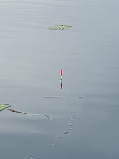 A fishing float with red and green markings floats on calm, grey water. A lily pad is visible in the upper left of the frame. The scene appears to be a natural body of water, potentially a pond or lake, within the rural area of Далёкаўскі сельскі Савет, Belarus. No people are present.