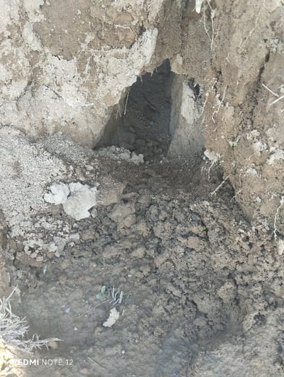 A ground-level shot reveals a hole dug into the earth. The hole's entrance is partially obscured by loose dirt and debris, with the interior appearing dark and narrow. The surrounding soil varies in color, ranging from light grey to dark brown, and exhibits a rough texture. Scattered roots and small plant fragments are visible near the surface, suggesting a natural environment. A faint watermark indicating "REDMI NOTE 12" is present in the lower left corner.