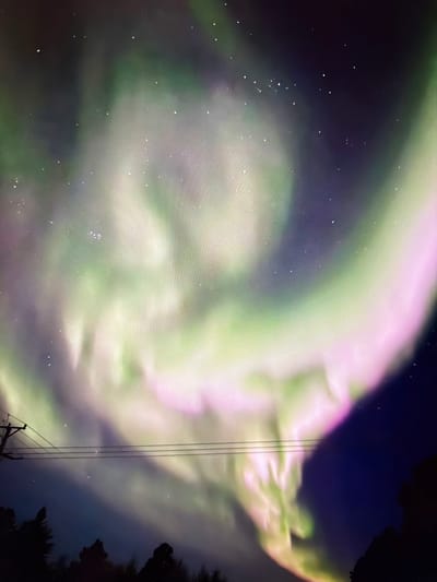 The image displays a vivid nocturnal scene in Kiruna, Sweden, dominated by an active display of the Aurora Borealis. The night sky is filled with broad, undulating bands of light in luminous green and pink-purple hues, swirling and tapering towards the lower right. Numerous individual stars are visible as white points scattered across the darker sections of the sky. In the lower left foreground, a dark silhouette of a utility pole with three horizontal power lines extends across the frame. Below these lines, the dark, irregular outlines of conifer trees are visible against the illuminated sky, forming a silhouetted treeline. No individuals or specific human actions are depicted within the scene.