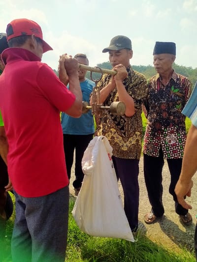 Four men are standing outdoors in Kecamatan Sambirejo, Indonesia, near a rice paddy field, while a large white sack is being weighed on a large, metal scale. The man in the red shirt is holding onto the scale's hook, while another man, wearing a black-and-gold patterned shirt, is holding the scale's beam with his hands. The man in the red shirt is looking directly at the scale, while the man in the patterned shirt is looking down at the scale. The man in the white shirt is looking at the man in the red shirt. The man in the black-and-white patterned shirt is looking off to the side. The men appear to be involved in a transaction. The scene is lit by bright sunlight. The ground is covered with short grass and a dirt road. The men are standing on a dirt road that borders the rice paddy field. The background is a green hill with trees. The sack is made of white canvas and is filled with what appears to be grain. The scale is made of metal and is attached to a wooden frame. It has a hook at the end of the beam that is being held by the man in the red shirt. The hook is holding the bag of grain. There are some small, white, round objects near the base of the scale. There is also a small, white object on the ground to the right of the man in the patterned shirt.  The time of day is midday, judging by the sun's position in the sky. The weather is sunny. The men are all wearing casual clothing, but the man in the patterned shirt is wearing a traditional Javanese shirt.  There is a lush green rice paddy field to the left of the men. The scene is typical of rural Indonesia.  The location is a village or small town near a rice paddy field.