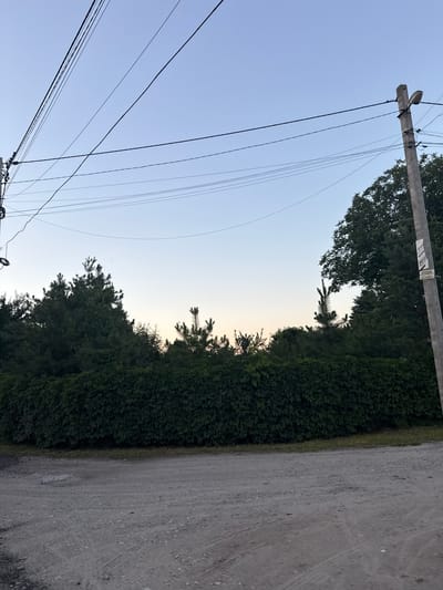 This image depicts a street scene in Obukhivka, Ukraine. A gravel road occupies the foreground, with tire tracks visible. A dense, green hedge runs along the middle ground, behind which several coniferous trees and a large deciduous tree are visible. Power lines crisscross the sky, supported by a concrete utility pole on the right side of the frame. The sky is a clear, pale blue, suggesting it is either early morning or late evening. A street lamp is attached to the utility pole. Two stickers are affixed to the utility pole, one of which appears to be an advertisement. There are no people or vehicles visible in the frame.