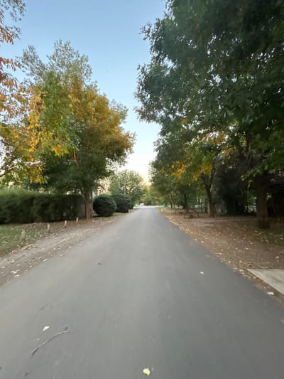 The image displays a paved road in the city of Hudson, Argentina, extending into the distance under a clear, light blue sky. The dark gray asphalt road surface contains scattered brown and yellow leaves and minor debris. No individuals are present, and no actions or interactions are depicted.

On the left side of the road, a dirt shoulder with scattered leaves is demarcated by a line of several short, light-colored posts. Beyond these posts, a dense, dark green hedge runs parallel to the road, backed by multiple trees exhibiting green and yellowing foliage. A reddish-brown, rope-like object is suspended vertically from one of the trees.

On the right side of the road, a dirt shoulder is similarly covered with scattered leaves, transitioning from a concrete sidewalk edge visible in the foreground. Several trees with varying shades of green and yellow leaves line this side. In the mid-ground, two dark, weathered, spoked objects consistent with old wagon wheels rest on the ground near the trees.

The sky is uniformly clear, and a small, dark, indistinct speck is visible in the upper central portion. A faint, light-colored object, possibly a vehicle, is visible in the far distance along the road. The environment is characterized by abundant natural vegetation, suggesting a suburban or semi-rural setting.