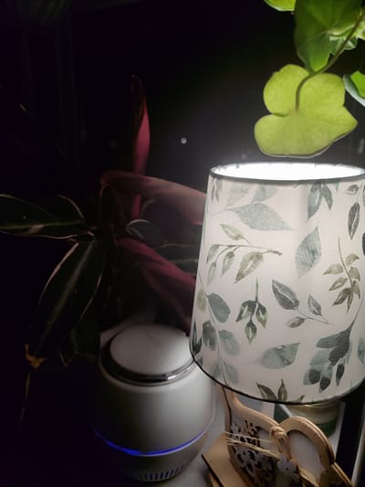 A dimly lit scene features a lamp with a white lampshade decorated with a green leaf pattern. The lamp is positioned to the right, casting light on the scene. To the left of the lamp is a white, round humidifier with a blue light emitting from its base. Behind the lamp and humidifier are various plants with green and reddish leaves. The setting appears to be indoors, possibly on a bedside table or shelf. No people are visible in the image. There is no information to suggest that the location is in the city of Kotlas, Russia.