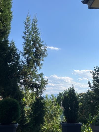 The image shows a bright, sunny day with a clear blue sky and scattered white clouds. In the foreground, several evergreen trees are visible, including tall, slender trees with cones and a round, ball-shaped shrub in a dark pot on the left. In the background, more trees and some distant hills can be seen. The scene appears to be from a garden or yard, possibly overlooking a town or landscape. The location is specified as Cheshnegirovo, Bulgaria. There are no people or specific actions depicted in the image.