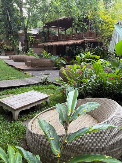 The image depicts an outdoor seating area nestled within lush vegetation in Tambon Mae Raem, Thailand. In the foreground, a large, rounded woven armchair with a woven seat is visible. To the left, a low, weathered wooden coffee table with carved legs sits on a patch of grass. A wooden walkway curves through the grassy area, leading to a series of elongated, woven seating structures arranged in a row. Behind these, dense tropical foliage, including large-leafed plants and flowering ginger, thrives. Further in the background, a multi-level wooden structure with thatched roofs and balconies is partially obscured by trees. Two large, white umbrella shades are also visible, one closed and leaning against a tree on the left, and another partially open in the mid-ground on the right. The overall impression is of a serene, natural outdoor space designed for relaxation.