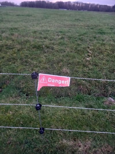 A field of green grass is visible, with a fence consisting of multiple thin wires held up by black insulators. A red and white "Danger!" sign is attached to one of the wires, warning of an electric fence. The sign has a symbol of a lightning bolt. The grass extends into the background, blurring into distant trees along the horizon. The lighting indicates it might be late afternoon or early morning.