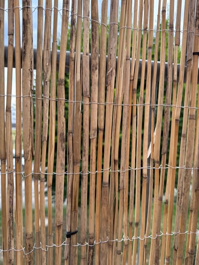 This media file presents a close-up, horizontal view of a bamboo blind or screen. The blind is constructed from numerous thin, dried bamboo stalks fastened together with thin white strings. The bamboo stalks vary in color, ranging from light tan to darker brown, with some showing signs of age and weathering, including cracks and a rough texture. The strings are threaded through holes in the bamboo, creating a woven pattern that allows glimpses of the background through the gaps.
Behind the bamboo screen, a blurred background is visible. This background appears to be a natural scene with areas of green foliage and hints of blue, possibly indicating the sky or water. The lighting suggests it is daytime, likely a sunny day given the brightness. There is no specific activity or event depicted, as the focus is solely on the texture and construction of the bamboo blind. The scene evokes a sense of outdoors, perhaps a patio, garden, or beach area, suggesting a relaxed and natural setting. No text is visible in the image. The location context of Wettstetten, Germany, does not provide any specific visual cues within the image itself, but suggests an outdoor environment within that region.