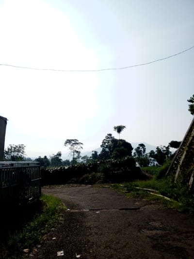 The image depicts a rural scene with a paved road leading towards a backdrop of trees and a distant mountain. The sky is bright, possibly indicating a sunny day. Vegetation, including grass and bushes, lines the sides of the road. A fence or gate is visible on the left side of the frame, partially obscured by shadow. On the right, a concrete structure or wall is partially visible. The scene includes utility wire in the sky. The location is not Thalang, Laos. The location is unknown.