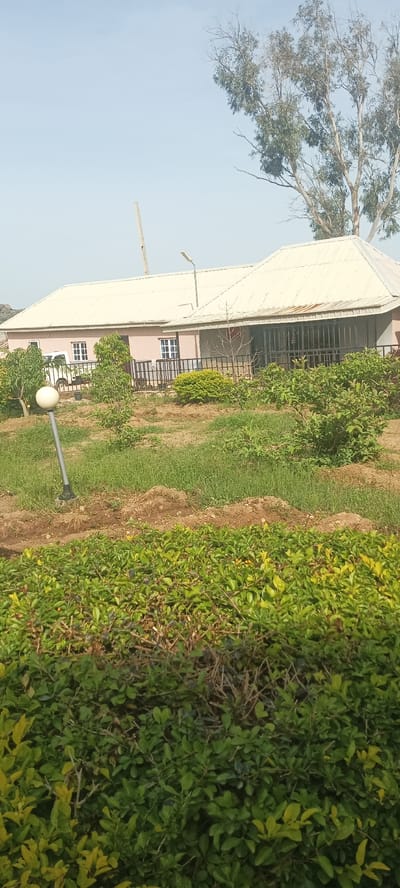 The image depicts a light pink, single-story building with a white corrugated metal roof, located in a grassy and vegetated outdoor environment. The building has multiple windows with white frames and appears to be a residential or administrative structure. In front of the building, there is a black metal fence. Various trees and bushes are present, including a large tree with sparse foliage towards the upper right of the frame and a hedgerow in the foreground. A white car is partially visible behind the building on the left side. A modern-looking outdoor lamp post with a spherical light fixture stands in the yard to the left of the building. The sky is clear and pale blue. The scene is consistent with a location in Rukuba Road, Nigeria, characterized by its natural vegetation and architecture. There are no people visible in the image.