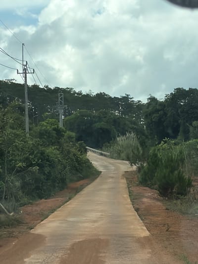 This media file, oriented incorrectly and depicting a scene from Măng Đen, Vietnam, features a narrow, paved road or path winding uphill through a verdant, hilly landscape. The road, appearing to be made of concrete or a light-colored material, shows damp patches, suggesting recent rain or high humidity. It curves gently to the left as it ascends into the distance.

Dense, lush green trees and varied vegetation, including taller trees and thick undergrowth, line both sides of the path, creating a rich, forested environment. On the immediate right, an earthen bank with exposed reddish-brown soil and scattered foliage borders the pavement, with a faint metal guardrail visible along the path's edge further up.

The sky is overcast with a blanket of grey and white clouds, indicating a cloudy daytime setting. In the foreground on the left, utility poles with multiple cross-arms and power lines are visible against the sky and the treeline, signifying the presence of infrastructure within this natural terrain. No people, animals, or specific activities are depicted. The scene conveys a sense of tranquility and remoteness, characteristic of a mountainous, forested region. There is no visible text in the image.