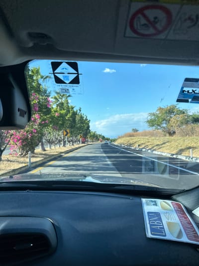 A view from inside a car driving on a sunny day. The road stretches straight ahead, lined with trees, some featuring pink flowers. Road signs are visible along the roadside. Stickers are affixed to the windshield, including safety warnings and company identifiers. The car's dashboard and interior elements are visible on either side of the frame.