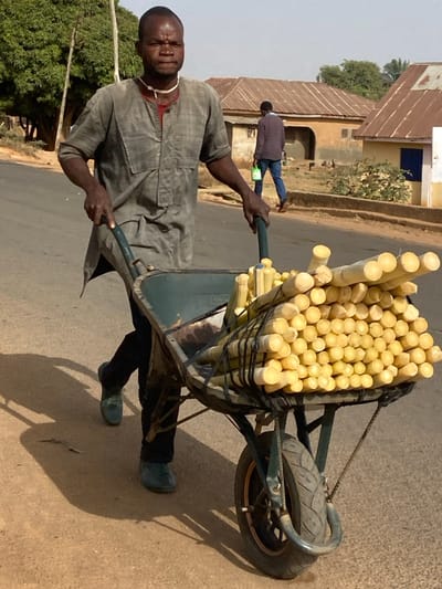 A man pushes a dark green wheelbarrow laden with peeled sugarcane segments along a dirt and asphalt road in Udu, Nigeria. The primary subject is a dark-skinned adult male, seen from the waist up, wearing a grey plaid tunic over a red undershirt, black trousers, and light green shoes. He has a white choker necklace and grasps the wheelbarrow's handles with both hands. The wheelbarrow's tray is heavily loaded with multiple neatly stacked, cylindrical, light-yellow sugarcane pieces, secured by dark bands. Distinct, elongated shadows are cast to the right, indicating bright sunlight. In the midground, another man walks away from the camera, wearing a dark maroon long-sleeved shirt and blue jeans, carrying a light green container in his left hand. The background features several single-story, earth-toned buildings with reddish-brown corrugated metal roofs, green trees, and utility poles under a light, hazy sky.