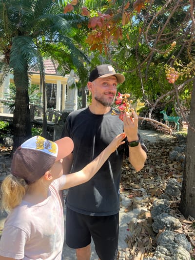 This detailed image captures an outdoor scene in Cam Ranh, Vietnam, featuring an adult male and a child in a lush, sunny environment. The adult male, with a light complexion, short beard, and a baseball cap, stands centrally, holding a cluster of distinctive pink and yellow flowers and buds in his left hand, looking directly at the camera with a slight smile. He is wearing a black crew-neck t-shirt and black shorts, with a dark fitness tracker visible on his left wrist. Partially obscured by the male, a child with blonde hair in a ponytail and wearing a pink t-shirt and a brown and white baseball cap, faces away from the camera, looking up towards the flowers held by the adult male. The child's left hand is extended towards the flowers or the adult's arm.
The immediate surroundings include a tree with thick, gnarled branches, from which more of the same pink and yellow flowers and buds emerge, consistent with a Cannonball tree (Couroupita guianensis). To the left, a large palm tree with long green fronds is prominent, and other palm trees are visible further back. The ground consists of a concrete path bordered by irregular, dark gray, porous rocks, with numerous dry, brown leaves scattered across the ground and rocks. In the background, a white gazebo-like structure with a red-tiled roof is visible, along with a white statue, possibly religious, positioned to its right. Further back on the right, a light green deer-like statue is discernible amidst the foliage, and patches of clear blue sky are visible through the tree canopy, indicating bright, direct sunlight.