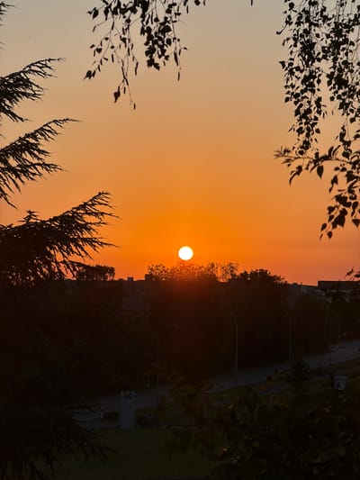 The image depicts a sunset over Leudelange, Luxembourg. The sun, a bright orange orb, is low on the horizon, casting a warm glow across the sky. Silhouetted against the vibrant sky are trees and buildings, creating a stark contrast between light and dark. The foreground is dominated by the dark foliage of trees, framing the sunset and the distant cityscape. A road with streetlights and a "STOP" sign is visible in the middle ground, suggesting an urban or suburban setting. A sign with the number "80" is also present near the road, possibly indicating a speed limit. The overall impression is one of a tranquil evening scene in a European town.