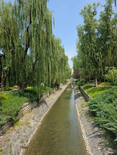 The image shows a canal running through a park-like setting in Dongcheng District, China. The canal has stone-lined banks and the water is a murky green. On either side of the canal are lush green trees, primarily weeping willows, whose branches hang down towards the water. The ground is covered with grass and some low-lying bushes. In the distance, a bridge crosses the canal, and more trees and buildings can be seen. There are no people visible in the image. The sky is clear and blue.
