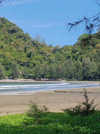 The image captures a coastal scene in Naga Umbang, Indonesia. A sandy beach occupies the foreground, transitioning into a shoreline where gentle waves meet the sand. In the midground, a line of trees borders the beach, with a few structures partially visible. Behind the trees, a lush green hillside rises, partially obscured by the tree line. The sky is clear and blue. Vegetation is visible in the very foreground.