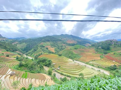 The image displays an elevated, wide-angle landscape of terraced mountains and a valley in Mù Cang Chải, Vietnam, under a heavily clouded sky. Two thick, dark electrical cables span horizontally across the upper portion of the frame, partially obscuring the sky and distant peaks. The immediate foreground consists of dense green foliage, likely agricultural crops.

The midground features a deep valley, at the base of which a winding river or stream flows. The valley's steep slopes on both sides are extensively cultivated with numerous rice terraces. These terraces exhibit various states: some are flooded with water, appearing light brown and reflective; others are planted with vibrant green crops; and some expose reddish-brown soil. Several small, dark-roofed wooden huts or shelters are scattered throughout the terraced fields and along the riverbanks. Small, indistinct human figures are discernible in multiple terraced sections, suggesting agricultural activity.

The background comprises additional layers of green, terraced mountains extending into the distance. On a distant ridge to the upper-right, a cluster of modern buildings with dark, multi-faceted roofs is visible amidst the vegetation.