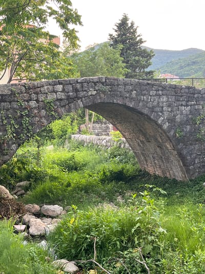 This media file depicts a stone bridge arching over a lush, green ravine filled with vegetation and a small stream. The bridge is constructed from rough-hewn, grey stones, some of which are covered in patches of ivy. The surrounding environment is abundant with foliage, including tall grasses, leafy branches, and trees.
The scene suggests a natural, possibly rural or historical setting. In the background, hints of a hillside with trees and what appears to be buildings can be seen, suggesting a mountainous or hilly landscape. The lighting indicates it might be daytime, possibly late afternoon or early morning, given the soft light and the bright sky. The overall impression is one of natural beauty and perhaps a sense of peaceful isolation. There are no people or specific activities visible; the focus is on the natural scenery and the ancient stone structure. The image is oriented vertically, suggesting it was taken with a mobile phone.
Based on the provided location context, this scene is likely in Podostrog, Montenegro, a region known for its natural beauty and historical sites. The rustic nature of the bridge and the dense greenery are consistent with such a location.