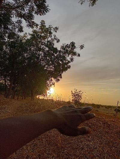 The image depicts an outdoor scene, captured and presented in a portrait orientation but showing a landscape that would be horizontal if rotated 90 degrees counter-clockwise. The overall impression is that of a sunset or sunrise in a natural, possibly rural, environment.
In the immediate foreground, a human arm and hand are prominently featured, reaching towards the right side of the frame (which would be upwards if the image were correctly oriented horizontally). The hand is silhouetted and appears dark against the bright background light, making it difficult to discern specific details of its skin tone, but it suggests a darker complexion due to the lack of direct light. The fingers are slightly spread, and the thumb is visible. The arm extends from the bottom of the frame, tapering slightly towards the hand.
The midground and background reveal a landscape bathed in warm, golden light. On the left side of the frame (bottom if rotated), a cluster of trees with dense, green foliage stands. These trees are also somewhat silhouetted, with the light filtering through their leaves, creating pockets of brightness and shadow. Their trunks are not clearly visible, but their leafy crowns dominate the lower left quadrant.
Towards the center-right of the image (center-top if rotated), a brilliant, intensely warm light source, consistent with the sun, is visible low on the horizon. This light casts a strong orange and yellow hue across the sky and illuminates parts of the landscape. Extending from the horizon and filling much of the right side of the frame (top if rotated) is an expanse of dry, yellowish-brown ground, covered in what appears to be sparse grass, dried vegetation, or possibly crops. This area suggests arid or semi-arid conditions.
The sky occupies the upper left portion of the image (lower part if rotated horizontally) and transitions in color. Near the bright sun, it is a vibrant orange and yellow. Further away and higher up, it fades into a lighter, somewhat overcast grey or pale blue, with subtle, wispy cloud formations visible. There is a faint indication of a distant, undulating horizon line beyond the dry ground.
The time of day is clearly sunset (or possibly sunrise) due to the low position of the sun and the warm, soft, extended light. The atmosphere is serene and somewhat contemplative, with the silhouetted hand reaching towards the powerful light source. No text is visible in the image.