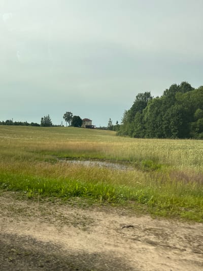 The image depicts a rural landscape in the vicinity of Перабродскі сельскі Савет, Belarus. The foreground consists of a dirt path, blurred due to motion. Beyond the path lies a field of tall, dry grass with patches of green vegetation and a small puddle of water. In the mid-ground, a distant house with a red roof is visible on a gentle slope, surrounded by scattered trees. The background is dominated by a dense line of mature green trees. The sky is overcast with pale, diffused light.