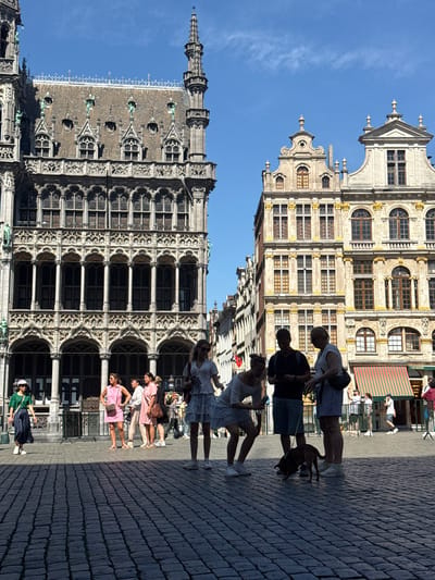 This is a vertical, wide-angle photograph taken on a sunny day, likely in the late morning or early afternoon, given the shadows. The scene depicts a bustling European city square with ornate architecture.
In the foreground, a cobblestone pavement stretches diagonally across the frame. Several groups of people are walking and standing on the pavement. Some are dressed in casual summer attire, including dresses and t-shirts. One person is walking a dark-colored dog on a leash.
Behind the pavement, two magnificent historical buildings dominate the background. The building on the left is characterized by its Gothic architecture, featuring spires, intricate stonework, arched windows, and detailed carvings. The building on the right showcases Renaissance or Baroque style, with a grand facade, numerous windows, and decorative elements in gold and stone. A striped awning is visible on this building.
The sky is a clear, bright blue with a few wispy clouds. The overall atmosphere appears lively and leisurely, suggesting a tourist area or a popular gathering spot in a city like Brussels, Belgium, as indicated by the architectural styles. The image is oriented such that the buildings appear to be leaning to the left, and the people are walking upright relative to the pavement. The low angle of the sun creates strong shadows on the cobblestones. No visible text is clearly legible in the image.