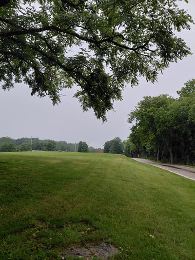 This image depicts an outdoor scene with a lush green lawn on the right side, extending towards the foreground. The lawn is bordered by a paved surface on the left, which appears to be a road or path. Beyond the paved surface, a dense line of trees with vibrant green foliage forms a backdrop, suggesting a park or wooded area. In the upper left portion of the image, the branches and leaves of a large tree are prominently visible, creating a natural frame. The sky is overcast, indicating a cloudy or possibly rainy day. The overall impression is one of a natural, serene environment. No people or specific objects are identifiable as subjects of the activity. The setting suggests a location in Frankfort, United States, as per the provided context. There is no visible text in the image.