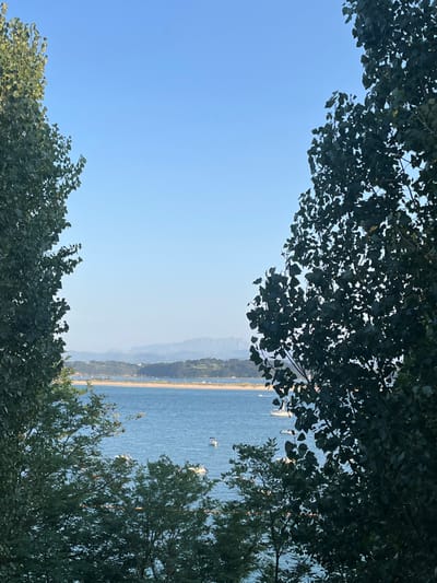 The image depicts a panoramic view over the Bay of Santander, Spain, framed by dense foliage. In the foreground, the dark green leaves of two large trees bracket the scene, with one on the left and another on the right, their branches extending towards the center and obscuring the immediate sides of the frame. Smaller green trees are visible in the lower foreground. The middle ground features a calm, blue expanse of water, characteristic of the Bay of Santander. On this water, approximately seven white recreational boats, including at least one sailboat, are visibly anchored or moored. Beyond the water, a light-colored, narrow sand spit, identifiable as El Puntal, stretches horizontally, featuring sparse green vegetation along its length. In the far background, hazy, blue-grey mountains, likely part of the Cantabrian Mountains, rise faintly against a clear, light blue sky that dominates the upper portion of the image. The scene is illuminated by natural daylight. No people or specific actions are discernible.