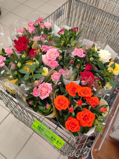 A shopping cart filled with potted rose plants sits on a tiled floor in what appears to be a store. The roses are in various colors, including red, pink, yellow, orange, and white. Each plant is individually wrapped in clear plastic. Two green price tags are visible, one indicating "14.99" and another "9.99". The background shows the metal grating of the shopping cart and a wooden surface. The lighting is bright, suggesting an indoor setting. The image does not contain any people or visible activity.