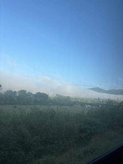 The image presents a landscape in Binkos, Bulgaria, observed from a high vantage point. A clear blue sky occupies the left portion of the frame. Adjacent to the sky is a band of low-lying fog obscuring part of the valley. On the right side of the frame is a verdant expanse of fields and trees. The fog covers a small town and a mountain in the background. In the bottom right corner, some red flowers are visible. The shot may be taken from inside a moving vehicle.