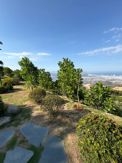 The image depicts a landscape on the edge of a city, possibly taken in or near Diên Khánh, Vietnam, given the urban skyline visible in the distance. The foreground features vegetation, including various trees and bushes. A notable tree with broad green leaves is positioned centrally. There are also patches of grass and stone pathways or steps. The sky is blue with some scattered clouds. The overall setting seems to be a park or landscaped area overlooking the city.