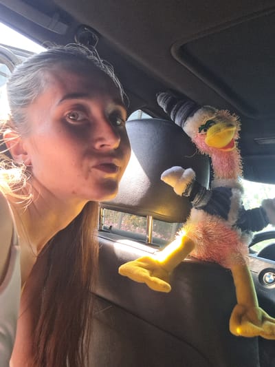 A woman is taking a selfie inside a car, looking down at the camera. Her long, dark hair is visible, and the sun is catching the highlights. She has light skin and brown eyes, and appears to be in her late teens or early twenties. Her facial expression is neutral. 

In the foreground, a stuffed toy chicken is held up. The chicken is pink and fluffy, with yellow feet and a yellow beak. It is wearing a striped hat and blue and white striped pants. The chicken's arms are outstretched.

The background shows the interior of a car, with dark leather seats. The sun is shining through the window, creating bright highlights. The scene appears to be outdoors, possibly in Vypasne, Ukraine, given the provided location context. The time of day seems to be daytime, with bright sunlight. There are no visible text elements in the image.
