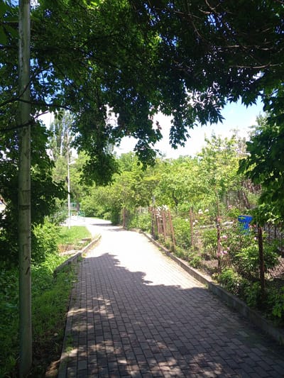This image depicts a paved pathway in a park-like setting in Yessentukskaya, Russia. The pathway, constructed from dark gray pavers, curves gently to the right and is bordered by lush green vegetation and a chain-link fence. Sunlight filters through the dense green foliage of overhead trees, casting dappled shadows on the path. To the left of the path, a grey metal pole stands tall, partially obscured by leaves, and beyond it, more greenery and a glimpse of a playground structure with a green bench. To the right of the path, behind the fence, a garden area is visible with blooming pink roses and various other plants, as well as a blue bin with a colorful illustration. The overall scene suggests a tranquil outdoor space on a bright day.