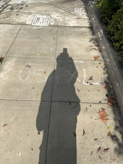 A concrete sidewalk is visible with a shadow cast upon it. The shadow obscures the details of the sidewalk and its imperfections. "USA" with an arrow, "TX1" and "SO" are marked on the sidewalk in white chalk. Several leaves are scattered across the surface. A rectangular utility cover sits on one of the concrete slabs. Greenery lines the edge of the sidewalk.
