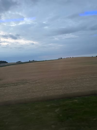 The image captures a landscape with a vast field of golden crops, possibly wheat or barley, stretching across the frame. The field is gently sloping upwards towards a distant horizon. A line of streetlights, punctuated by trees and a few vehicles, runs parallel to the field on the left side, suggesting the presence of a road or highway. The sky above is overcast with heavy, grey clouds, with streaks of pale blue light visible near the top of the image, possibly indicating reflections or light anomalies. A narrow strip of green grass is visible in the foreground, bordering the golden field. The scene evokes a sense of rural openness, possibly taken from a moving vehicle given the slight blur. The location is identified as being near Świebodzin, Poland, a city known for its agricultural surroundings and proximity to transportation routes.