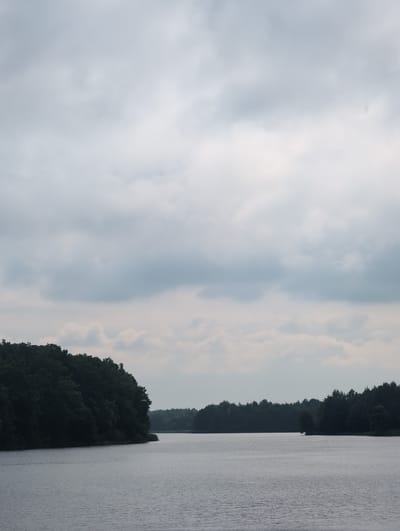 The image depicts a wide, calm body of water, likely a lake or river, under an overcast sky. Dense, dark green foliage lines the banks, forming a thick forest that extends to the horizon. The water's surface is relatively still, with subtle ripples indicating a gentle breeze. The overall scene is serene and natural, with no signs of human activity or urban structures visible. The location is identified as Perliavka, Ukraine.