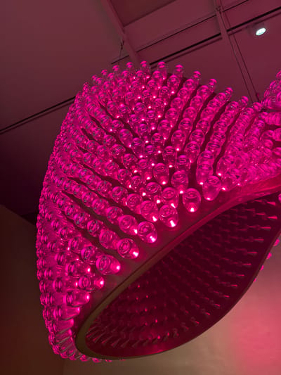 This media file shows a close-up, low-angle view of a large, modern chandelier with a vibrant pink illumination. The chandelier is composed of numerous clear, glass-like elements, possibly bottles or tear-drop shaped pendants, arranged in rows and curves. These elements are lit from within, creating a striking visual effect and casting a warm, intense pink glow throughout the visible portion of the chandelier. The overall shape of the chandelier is curvilinear and expansive, suggesting a contemporary design.

In the upper left corner of the image, a white ceiling light fixture is visible, providing a contrast to the pink lighting of the chandelier. The ceiling appears to be a light color, possibly white or off-white, and there are some dark linear elements, perhaps beams or tracks, intersecting the ceiling. The background is mostly a dark, muted color, with the pink light from the chandelier reflecting off of it in places. The scene appears to be indoors, in a space with a high ceiling, possibly a large hall, museum, or modern architectural venue.

No people are visible in the media file. The focus is entirely on the illuminated chandelier and its surroundings. The time of day and weather are not discernible. No text is visible in the image. The overall impression is one of modern artistry and dramatic lighting. Given the location context of Málaga, Spain, this could be an art installation or a decorative feature in a public space or private establishment within the city.