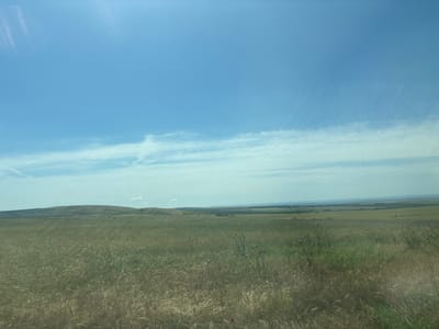 The image depicts a wide, open landscape under a bright blue sky with scattered white clouds. The foreground is dominated by a field of tall, dry grass, interspersed with patches of green vegetation and some wildflowers, notably purple thistles and a single red poppy. In the middle ground, rolling hills covered in more vegetation stretch across the scene. The background features a vast expanse of land with fields and distant rolling hills or mountains under the hazy horizon. The overall impression is of a rural, agricultural area. The image was captured in the vicinity of Karnobat, Bulgaria.