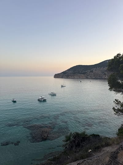 This media file captures a serene coastal scene at Es Camp de Mar, Spain, likely during the early morning or late evening due to the soft, diffused light. The image is oriented vertically, presenting a view overlooking a calm, turquoise sea. Several sailboats are anchored in the water, their masts and hulls silhouetted against the gentle horizon.

To the left of the frame, a rugged, tree-covered cliff face slopes down towards the water, characteristic of a Mediterranean coastline. The sky above transitions from a pale, almost white hue near the horizon to a soft blue as it ascends. The water's surface is textured with ripples, indicating a light breeze, and the clarity allows glimpses of submerged rocks and the seabed in shallower areas.

On the right side of the image, the foreground shows a rocky, overgrown embankment with dense vegetation, including palm fronds. A wire fence or netting is visible along the top edge of this embankment, suggesting a boundary or a protective structure. The overall atmosphere is tranquil and peaceful, with no visible human activity or text. The natural beauty of the landscape and the stillness of the sea dominate the scene.
