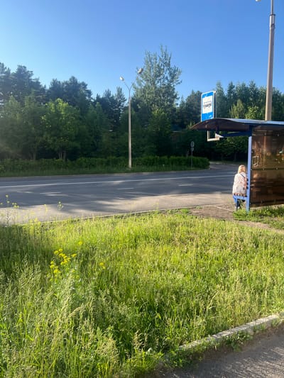 The image captures a roadside scene in Zheleznogorsk, Russia, likely during daylight on a clear, sunny day. A bus stop shelter, characterized by its blue frame and transparent roof, is a prominent object. A woman with blonde hair, wearing a light-colored, floral-patterned top and dark pants, sits on a bench within the shelter. She is seen from behind, her posture suggesting a relaxed or patient wait.

Adjacent to the shelter is a paved road with clear white lane markings, indicating it's a public thoroughfare. Beyond the road, a dense line of green trees forms a natural backdrop, with a clear blue sky overhead. A street lamp with two lights is visible, situated to the left of the bus stop, suggesting it's a well-lit area.

A blue and white sign with a pictogram of a bus is mounted on a pole near the bus stop, confirming its function as a public transportation point. The right side of the image is dominated by tall, green grass, interspersed with small yellow wildflowers, adding a touch of natural beauty to the utilitarian roadside setting. The overall impression is one of a typical, calm day in a semi-urban or suburban environment.