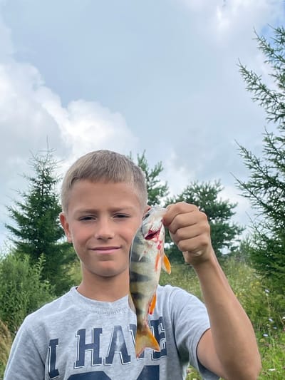 In a medium shot, a young Caucasian male with short blonde hair and a slight smile holds up a freshly caught fish by its mouth. He is wearing a gray t-shirt with navy blue lettering that appears to spell out "LHA" or a similar abbreviation. The background consists of a partially cloudy sky and a lush green landscape with scattered evergreen trees and wildflowers. The setting is likely outdoors, possibly in a rural or natural area, and given the context of the user's request, it is identified as being within the city of Kumyony, Russia. The fish, a perch, exhibits distinct vertical dark stripes and orange fins. The young male's right hand is grasping the fish, while his left arm is extended slightly downwards. The image has a bright, natural lighting quality.