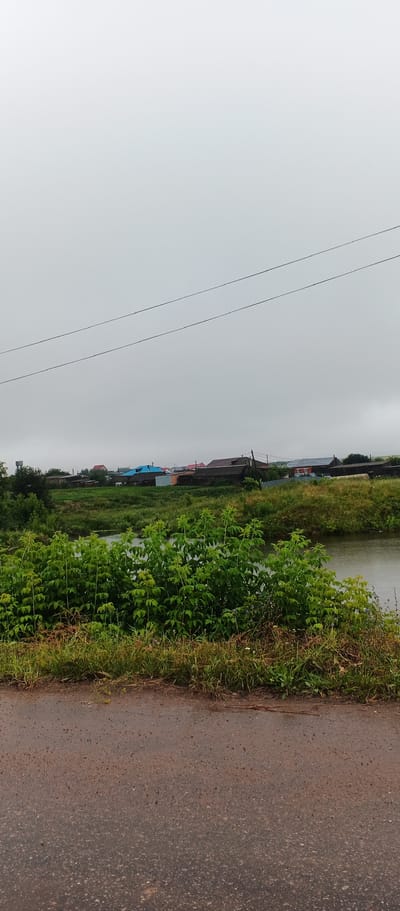 The image depicts a view of the village of Podgornoye, Russia, on a cloudy day. In the foreground, there is a dirt road. Beyond the road, a body of water, possibly a river or a pond, is visible. Lush green foliage, including tall plants and grass, lines the edge of the water. In the middle ground, a row of residential buildings with various roof colors, including blue, brown, and red, stretches across the landscape. Some of the buildings appear to be houses with visible windows and structures. In the background, the sky is overcast with a uniform gray color. There are two thin, dark lines, likely power lines, stretching horizontally across the upper portion of the image. No people are present in the scene.