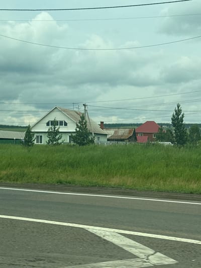 The image depicts a rural landscape with several houses and dense green grass in Emel'yanovo, Russia. In the foreground, a paved road with white markings runs diagonally. Behind the road, a stretch of tall, green grass covers the ground. The middle ground features a light green house with a white-trimmed triangular gable and multiple windows. To the right of this house, there are two tall, dark green evergreen trees. Further to the right, a red-roofed house is visible, partially obscured by trees and other structures. A few other buildings, some with corrugated metal roofs, are scattered in the background. The sky is overcast with gray clouds, and several thin electrical wires stretch across the upper portion of the frame. There are no people visible in the image.