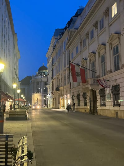 The image shows a street in Vienna, Austria, at dusk. The street is lined with tall buildings, some with ornate details. The buildings are lit by street lamps, and the sky is a deep blue. The street is mostly empty, but a few people are walking in the distance. There are also some parked cars visible. In the foreground there are some wooden benches.  The scene is situated on a street in Vienna, Austria, at the coordinates 48.209, 16.366. It is most likely located in front of the Austrian Parliament Building, which is a prominent architectural landmark in the city.