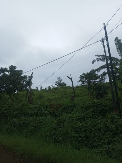 The image depicts a verdant, undeveloped hillside in Babaliya Mal., India, under an overcast sky. A narrow strip of dark green ground cover in the immediate foreground suggests a dirt path or road edge. The steep hillside is densely covered with various green vegetation, including grasses, shrubs, and trees. Two bare, upright tree trunks, devoid of foliage, are positioned centrally on the slope. On the right, a dark utility pole extends vertically, supporting multiple black electrical wires that traverse the upper mid-frame; one wire segment displays small, evenly spaced attachments. Banana trees and another tree bearing green fruit are visible on the right portion of the hillside. The scene exhibits diffused lighting consistent with cloudy conditions. No individuals or animals are present.