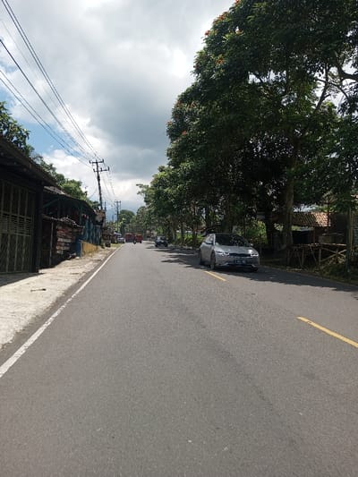The image depicts a road scene in Tagtse Tashidingkha, Bhutan. A two-lane asphalt road, marked with a solid white line on the left shoulder and a broken yellow line in the center, stretches into the distance under a partly cloudy sky. On the left side of the road, a narrow concrete sidewalk runs alongside a row of varied structures, including buildings with louvered shutters and corrugated roofs, with utility poles and multiple overhead power lines present. On the right, a dense line of large green trees, some bearing reddish-orange flowers, casts shadows across the road. A small, rustic hut with a reddish-brown tiled roof is partially visible behind the trees further down the road.
Several vehicles are observed on the road: a silver Hyundai Ioniq 5 electric car with license plate B 1812 DC travels away from the viewer in the right lane. Further down the road, a small red vehicle is seen approaching in the left lane, and a dark-colored sedan follows the Ioniq 5 in the right lane. Additional indistinct vehicles are visible in the far distance. No people are discernibly visible.