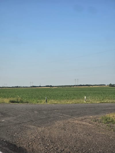 This is a wide shot of a rural landscape in Ровенскаслабодскі сельскі Савет, Belarus. The scene is divided into a bright blue sky on the left and a cultivated field and a gravel road on the right. The field, which appears to be a crop like corn or soybeans, is a vibrant green. It stretches horizontally across the image, with a line of trees and a thin strip of dry grass at its far edge. A dirt or gravel road runs parallel to the field, occupying the right side of the frame.
Two small, white marker posts are visible in the field, one closer to the foreground and another further in the distance. In the background, several sets of utility poles with power lines can be seen stretching across the horizon. The time of day appears to be late afternoon or early evening, judging by the quality of light. The weather seems clear and sunny. There is no visible text in the image. The overall impression is one of tranquility and open space.